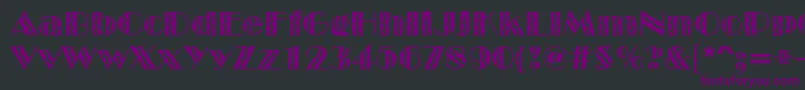 MarqueeflashRegular Font – Purple Fonts on Black Background