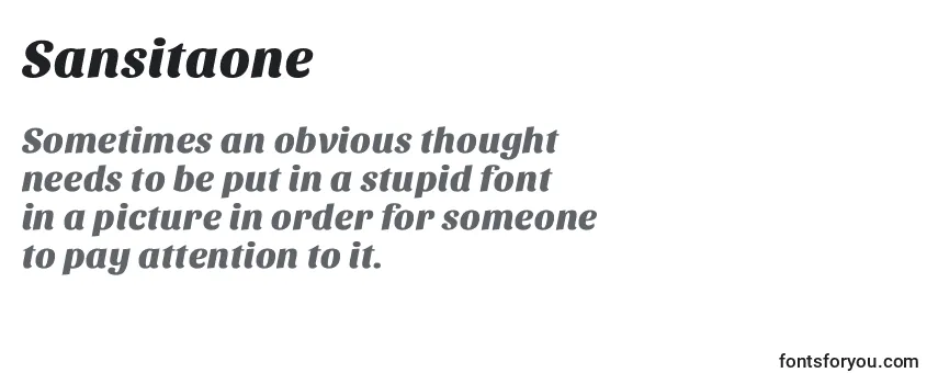 Review of the Sansitaone Font