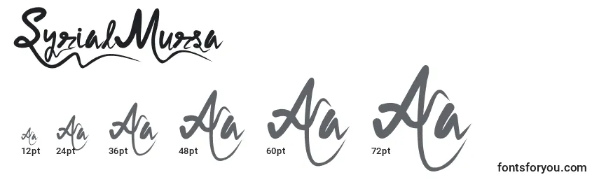 Размеры шрифта SyrialMursa