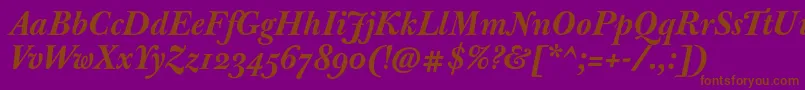 JbaskervilleBolditalic Font – Brown Fonts on Purple Background