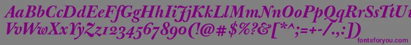 JbaskervilleBolditalic Font – Purple Fonts on Gray Background