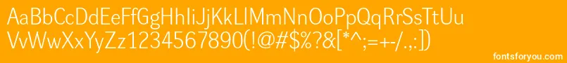 Dynagroteskl-Schriftart – Weiße Schriften auf orangefarbenem Hintergrund