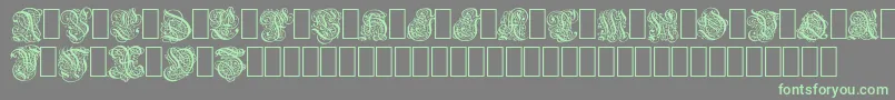Barock Font – Green Fonts on Gray Background