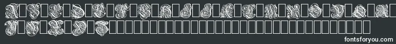 Barock Font – White Fonts
