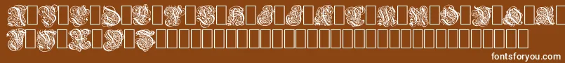 Weitere Informationen zur Barock-Schriftart Barock-Schriftart – Weiße Schriften auf braunem Hintergrund