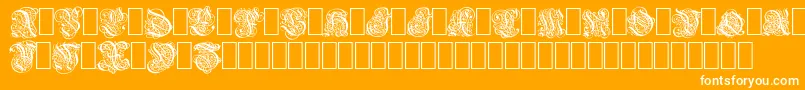 Barock Font – White Fonts on Orange Background