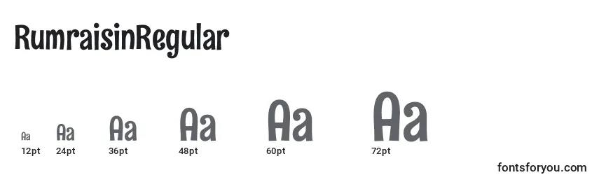 sizes of rumraisinregular font, rumraisinregular sizes