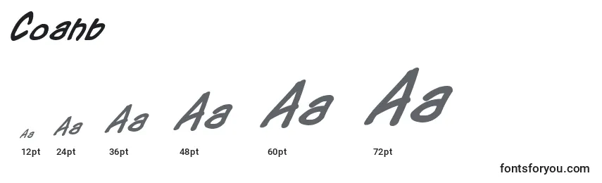 sizes of coahb font, coahb sizes