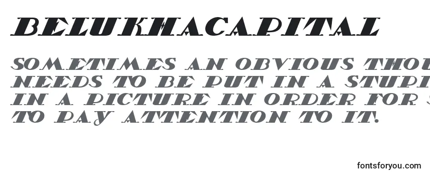 belukhacapital, belukhacapital font, download the belukhacapital font, download the belukhacapital font for free