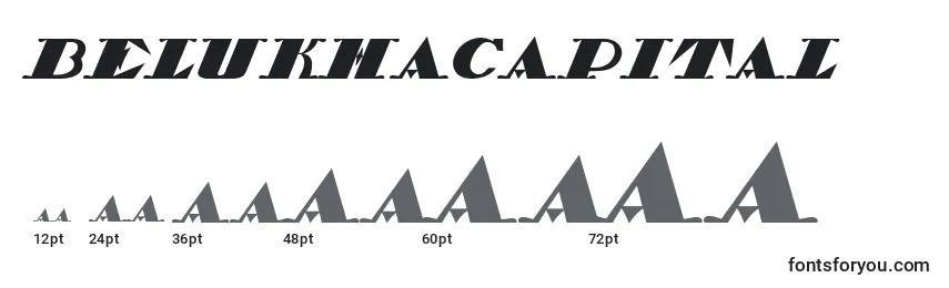 sizes of belukhacapital font, belukhacapital sizes