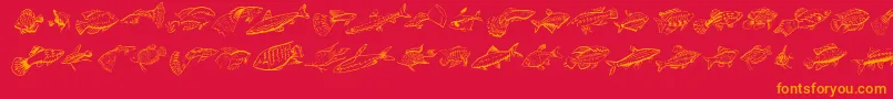 Fishing-Schriftart – Orangefarbene Schriften auf rotem Hintergrund