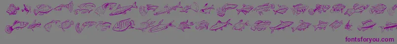 Fishing Font – Purple Fonts on Gray Background