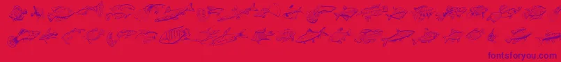 Fishing-Schriftart – Violette Schriften auf rotem Hintergrund