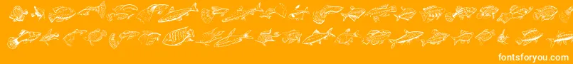 Fishing Font – White Fonts on Orange Background