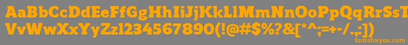 フォントReganslabBlack – オレンジの文字は灰色の背景にあります。