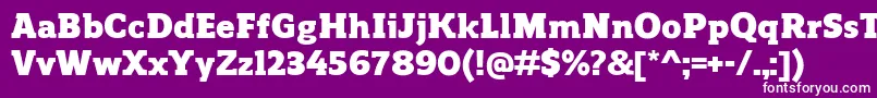 Czcionka ReganslabBlack – białe czcionki na fioletowym tle