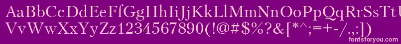 Petersburg Font – Pink Fonts on Purple Background