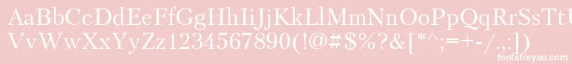 Petersburg Font – White Fonts on Pink Background