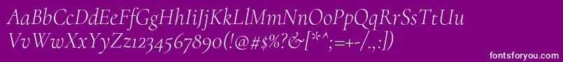 フォントCormorantLightitalic – 紫の背景に白い文字