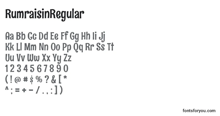 Czcionka RumraisinRegular – alfabet, cyfry, specjalne znaki