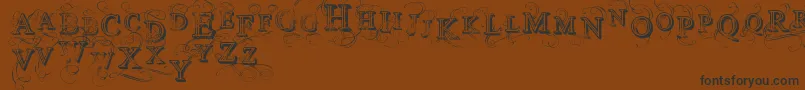 VtksSimplexBeauty2 Font – Black Fonts on Brown Background