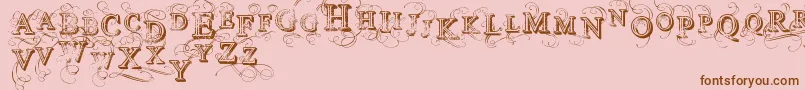 VtksSimplexBeauty2 Font – Brown Fonts on Pink Background