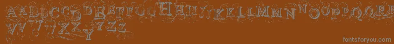 VtksSimplexBeauty2 Font – Gray Fonts on Brown Background