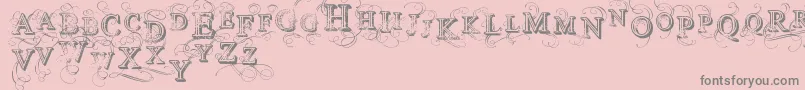 VtksSimplexBeauty2 Font – Gray Fonts on Pink Background
