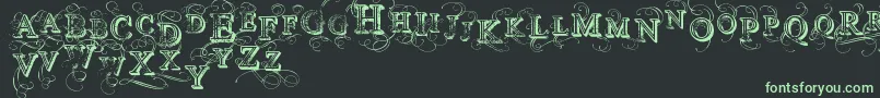 VtksSimplexBeauty2 Font – Green Fonts on Black Background
