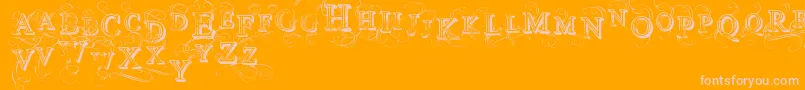 VtksSimplexBeauty2 Font – Pink Fonts on Orange Background
