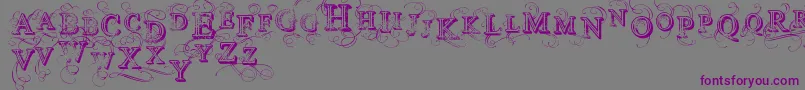 VtksSimplexBeauty2 Font – Purple Fonts on Gray Background