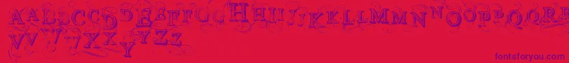 VtksSimplexBeauty2 Font – Purple Fonts on Red Background