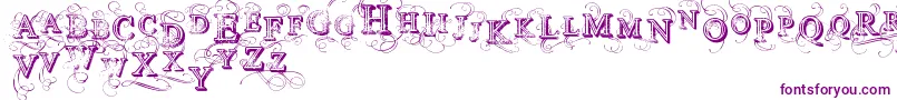 VtksSimplexBeauty2 Font – Purple Fonts on White Background