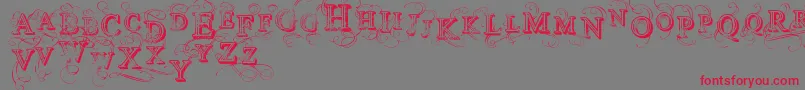 Czcionka VtksSimplexBeauty2 – czerwone czcionki na szarym tle