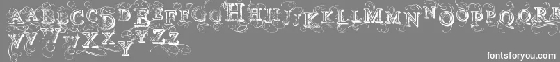 VtksSimplexBeauty2 Font – White Fonts on Gray Background
