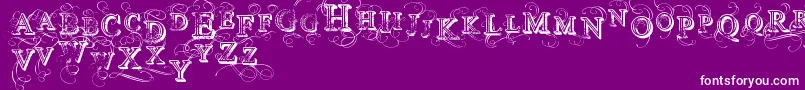 VtksSimplexBeauty2 Font – White Fonts on Purple Background