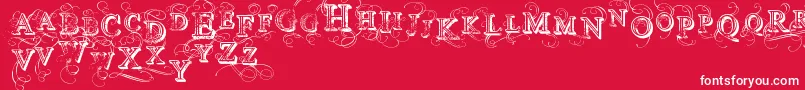 VtksSimplexBeauty2 Font – White Fonts on Red Background