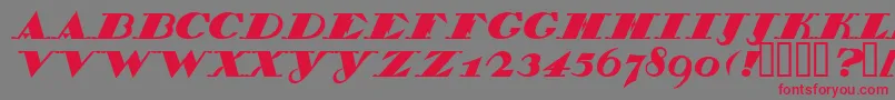 BelukhaCapital Font – Red Fonts on Gray Background