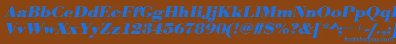 UrwbodonitextwidBoldOblique Font – Blue Fonts on Brown Background