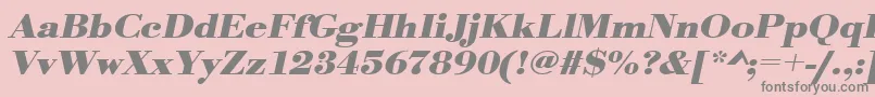 UrwbodonitextwidBoldOblique Font – Gray Fonts on Pink Background