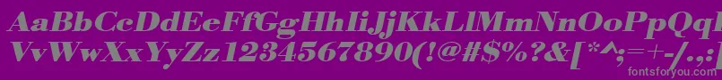 UrwbodonitextwidBoldOblique Font – Gray Fonts on Purple Background