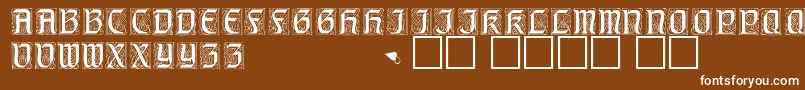 GeniocapssskRegular Font – White Fonts on Brown Background