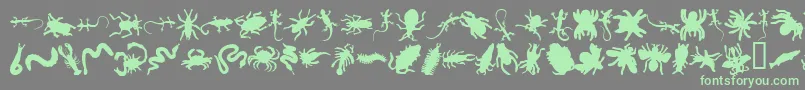Anncrawl-fontti – vihreät fontit harmaalla taustalla