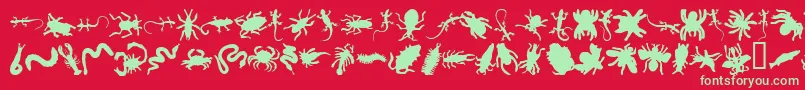Anncrawl-Schriftart – Grüne Schriften auf rotem Hintergrund