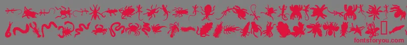 フォントAnncrawl – 赤い文字の灰色の背景