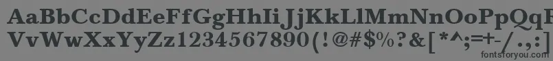 BaskervilleA.ZPsBold Font – Black Fonts on Gray Background