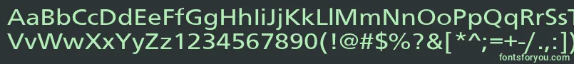 フォントSchranerextNor – 黒い背景に緑の文字