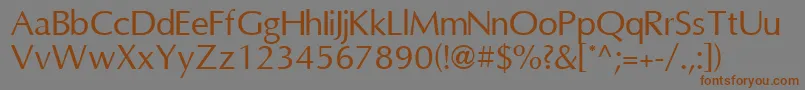 フォントOmniRegular – 茶色の文字が灰色の背景にあります。