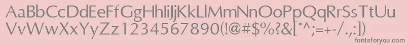 OmniRegular Font – Gray Fonts on Pink Background