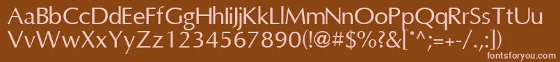 OmniRegular Font – Pink Fonts on Brown Background
